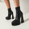 Pointed Toe Ankle Strap Boots