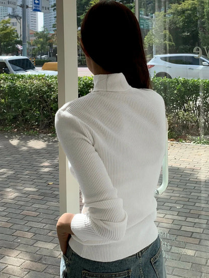 Ribbed Knit Turtleneck