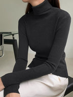 Ribbed  Knit Turtleneck