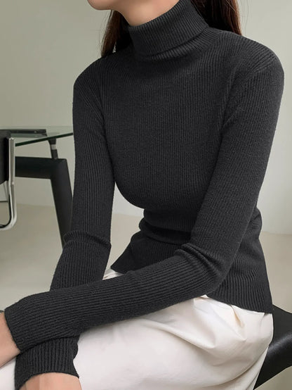 Ribbed  Knit Turtleneck