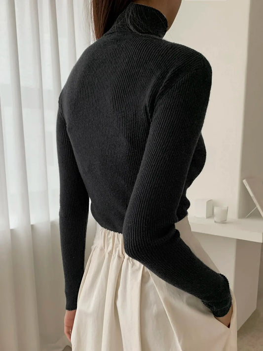 Ribbed  Knit Turtleneck
