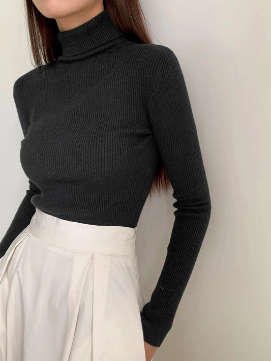 Ribbed  Knit Turtleneck
