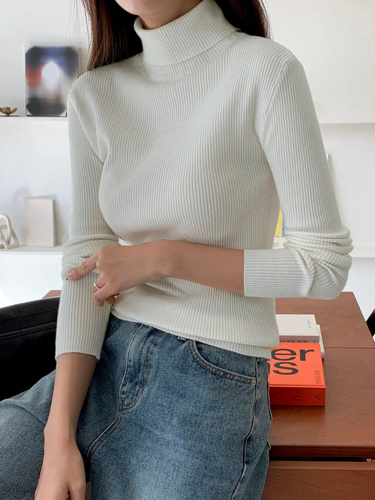 Ribbed Knit Turtleneck