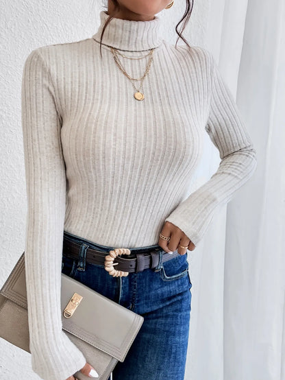 Knit Textured Ribbed  Turtleneck