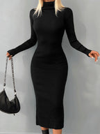 Solid  Knit Turtleneck Dress