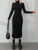Turtleneck Knit Dress