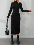 Solid  Knit Turtleneck Dress