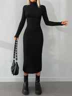 Solid  Knit Turtleneck Dress