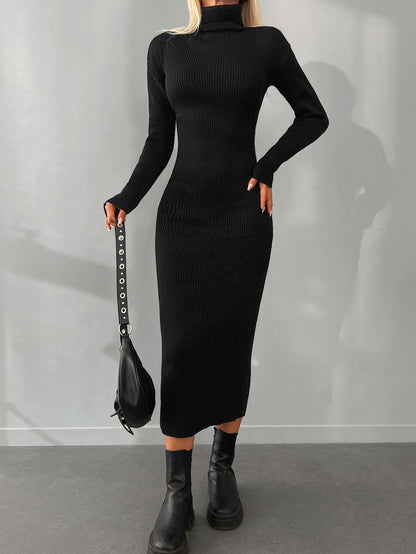 Turtleneck Knit Dress