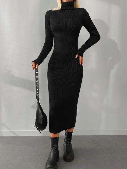 Solid  Knit Turtleneck Dress