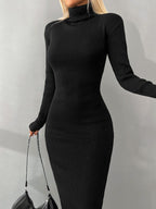 Turtleneck Knit Dress