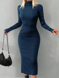 Solid Knit Turtleneck  Dress