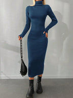 Solid Knit Turtleneck  Dress