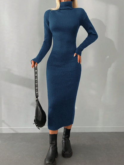 Solid Knit Turtleneck  Dress