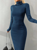 Solid Knit Turtleneck  Dress