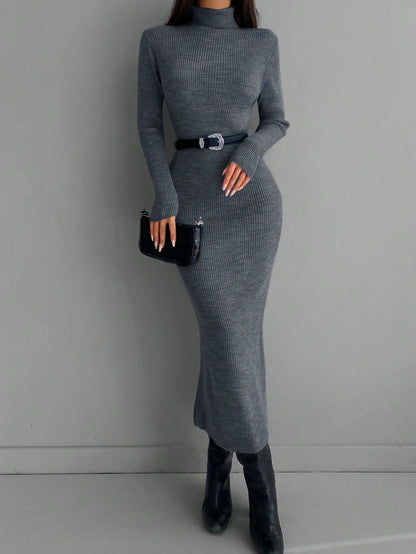 Solid Knit Turtleneck Dress