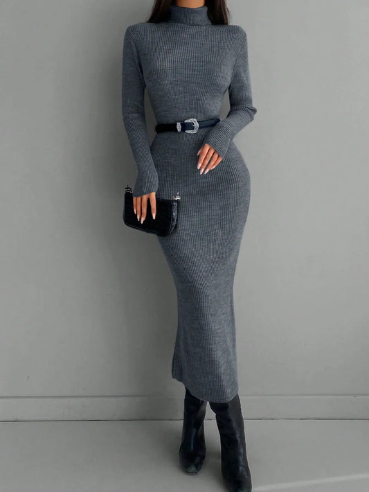 Solid Knit Turtleneck Dress