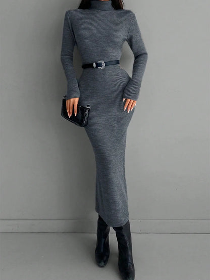 Solid Knit Turtleneck Dress