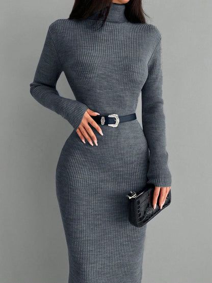 Solid Knit Turtleneck Dress