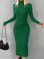 Turtleneck Knit Dress