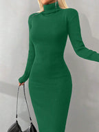 Turtleneck Knit Dress