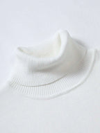 Men Solid Turtleneck Sweater