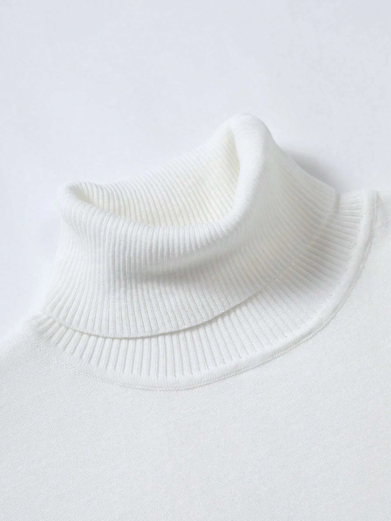 Men Solid Turtleneck Sweater