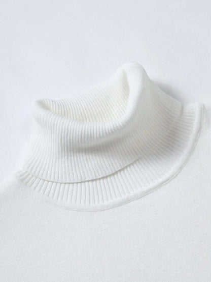Men Solid Turtleneck Sweater