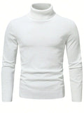 Men Solid Turtleneck Sweater
