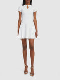 Pleated Mini Dress